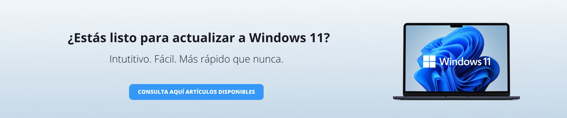 Windows 11