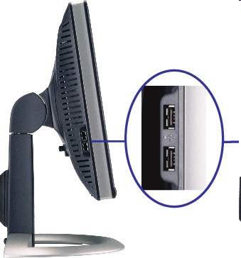 DELL 19 1905FP USADOS lateral usb