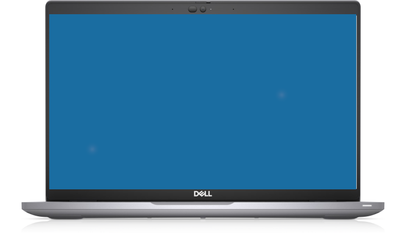 Dell Latitude 5420 Pantalla Puntos Blancos