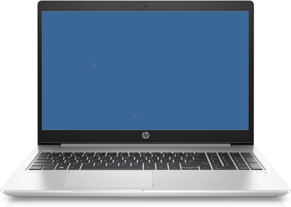 HP ProBook 450 G7 Pantalla Puntos Marcas
