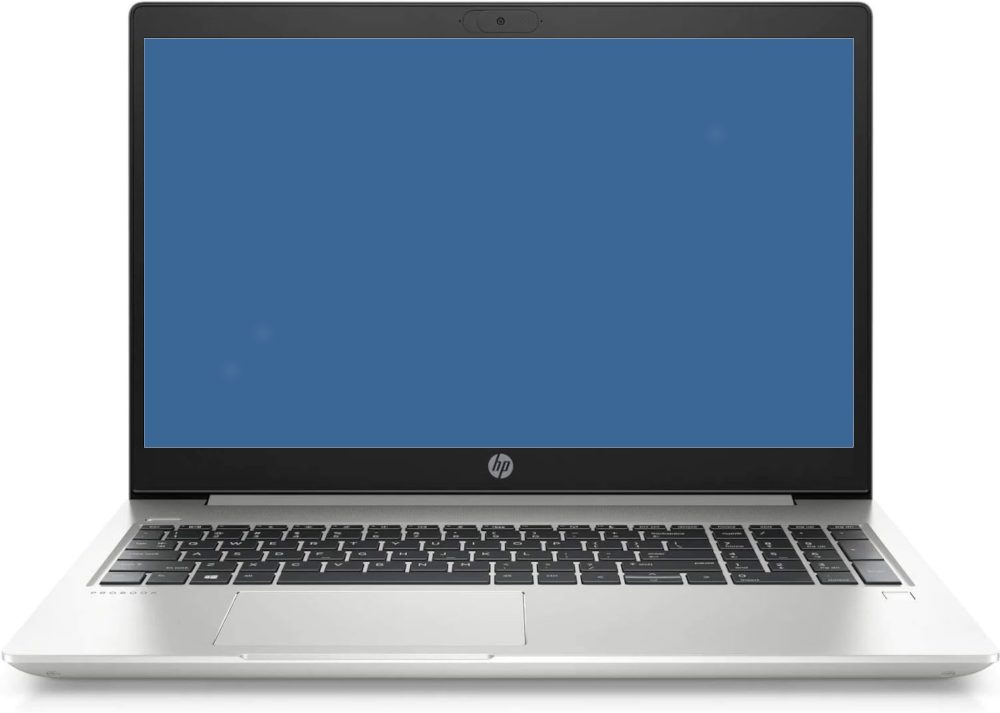 HP ProBook 450 G7 Pantalla Puntos Blancos
