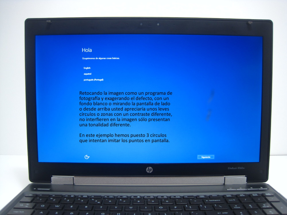 HP WORKSTATION 8560W pantalla defecto