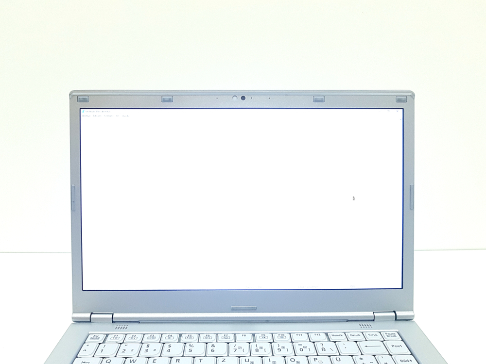 Panasonic cf lx3 pantalla punto negro