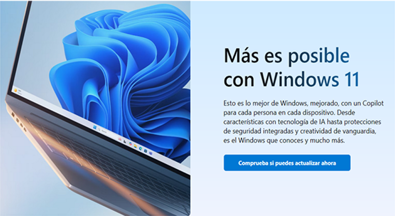 Windows 11